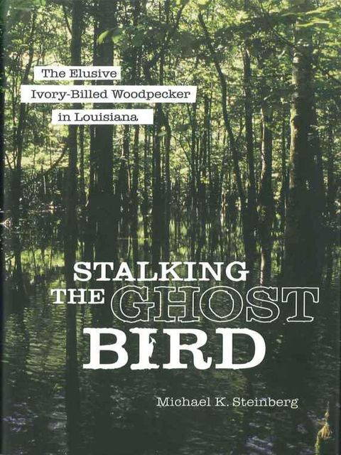 Stalking the Ghost Bird, Michael Steinberg