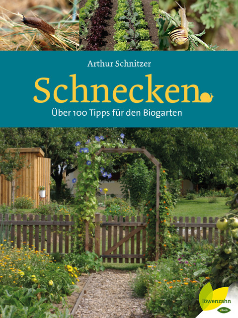 Schnecken, Arthur Schnitzer