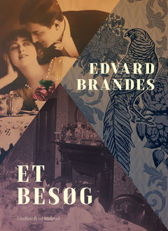 Et besøg, Edvard Brandes
