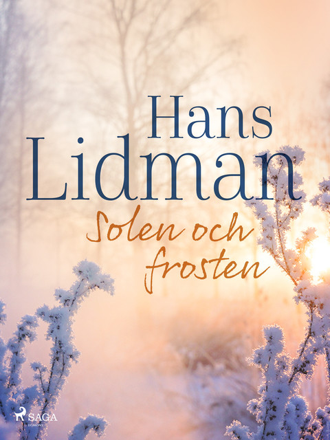 Solen och frosten, Hans Lidman