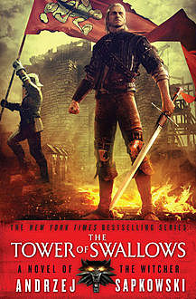 The Tower of Swallows, Andrzej Sapkowski