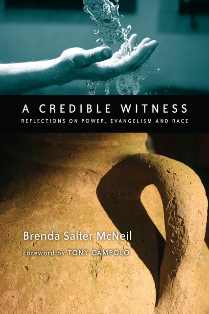 A Credible Witness, Brenda Salter McNeil
