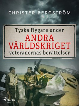 Tyska flygare under andra världskriget : veteranernas berättelser, Christer Bergström