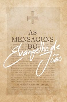 As mensagens do Evangelho de João, Franciny Beatriz Abreu
