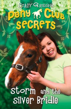 Storm and the Silver Bridle (Pony Club Secrets, Book 6), Stacy Gregg