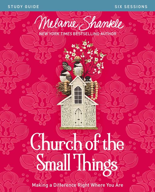 Church of the Small Things Study Guide, Melanie Shankle