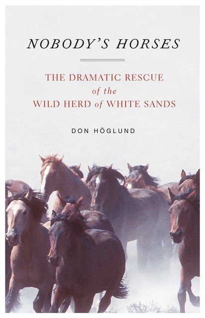 Nobody's Horses, Don Höglund