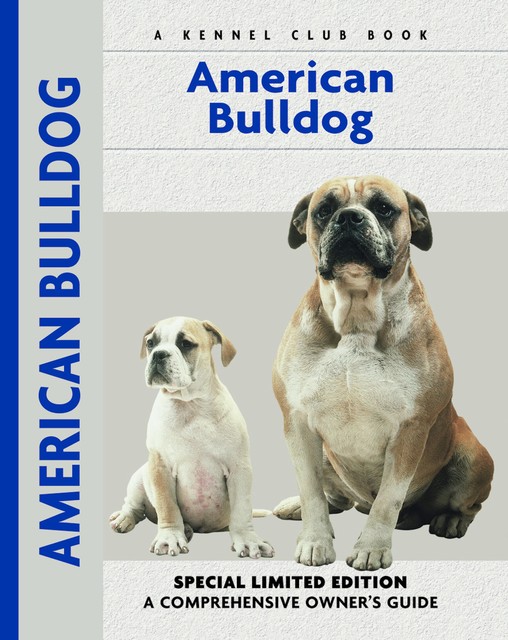 American Bulldog, Abe Fishman