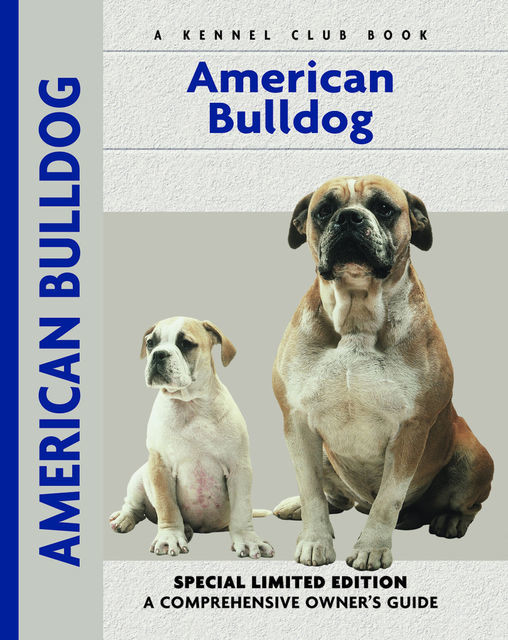 American Bulldog, Abe Fishman