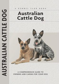 Australian Cattle Dog, Charlotte Schwartz