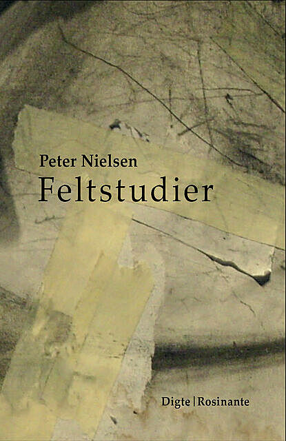 Feltstudier, Peter Nielsen
