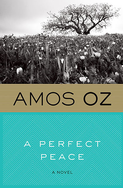 A Perfect Peace, Amos Oz