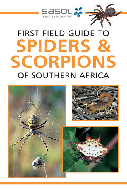 First Field Guide to Spiders & Scorpions of Southern Africa, Tracey Hawthorne