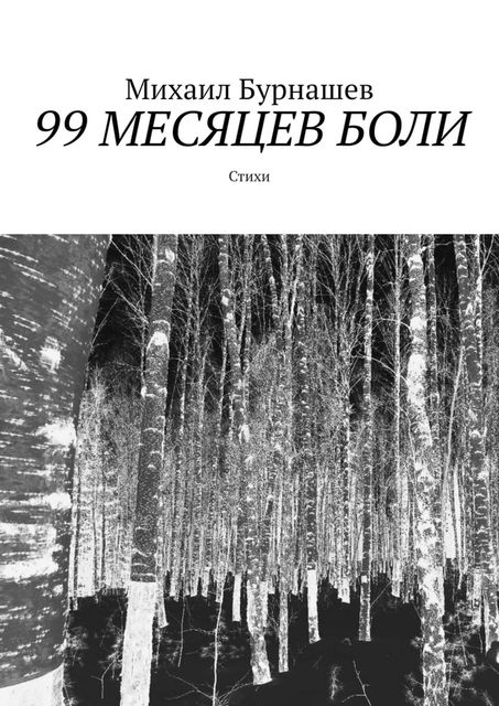99 месяцев боли, Михаил Сергеевич Бурнашев