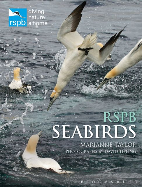 RSPB Seabirds, Marianne Taylor