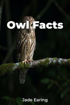 Owl Facts, Jade Earing