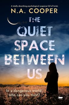 The Quiet Space Between Us, N.A. Cooper