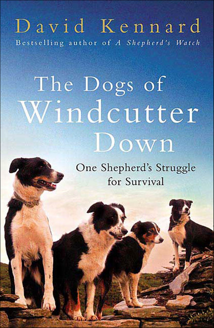 The Dogs of Windcutter Down, David Kennard