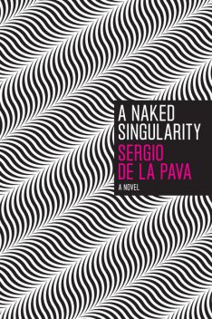 A Naked Singularity, Sergio de La Pava