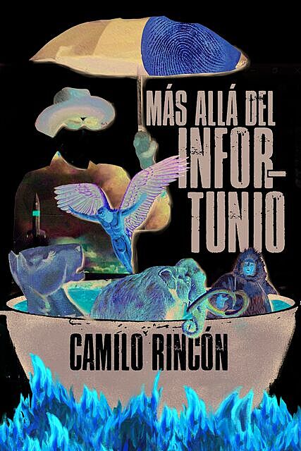 Más allá del infortunio, Camilo Rincón