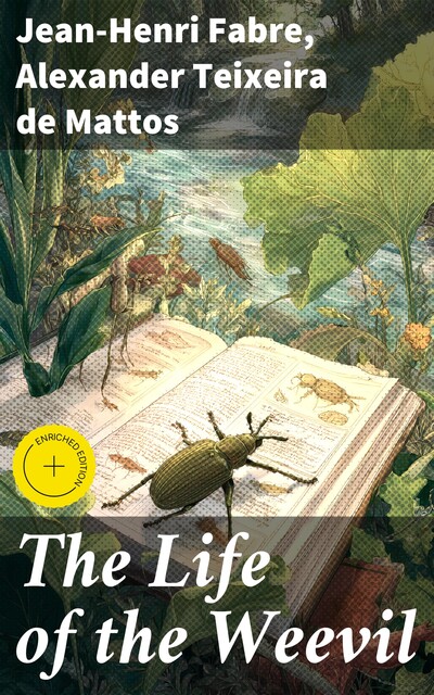 The Life of the Weevil, Jean-Henri Fabre, Alexander Teixeira de Mattos