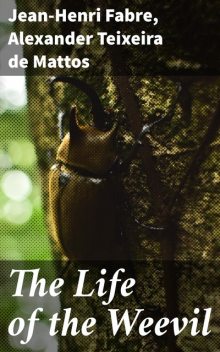 The Life of the Weevil, Jean-Henri Fabre, Alexander Teixeira de Mattos