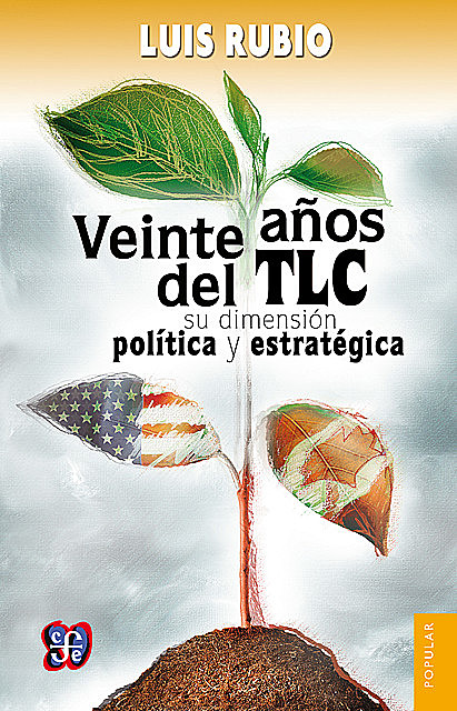 Veinte años del TLC, Luis Rubio