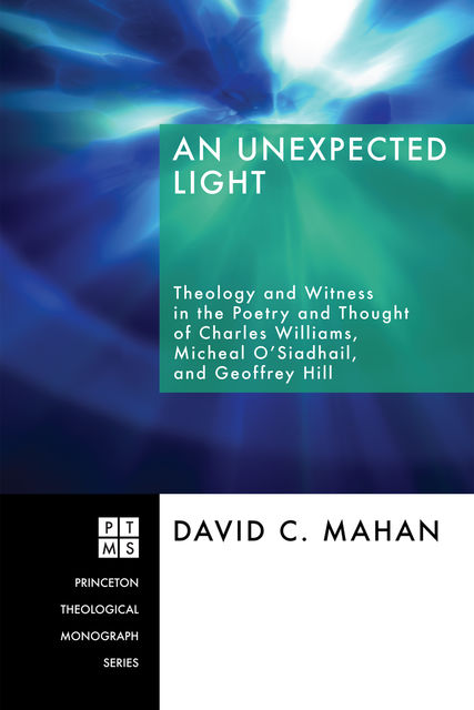 An Unexpected Light, David C. Mahan