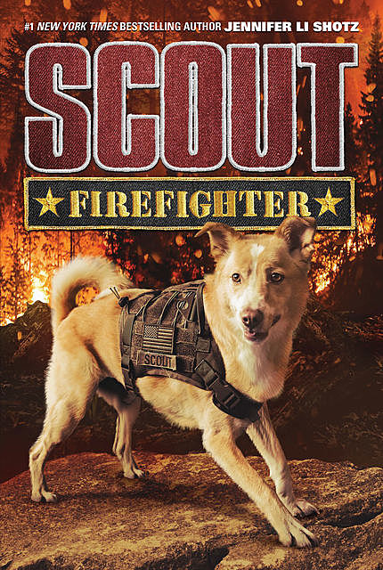 Hero Dog Middle Grade Novel: Scout #2, Jennifer Li Shotz