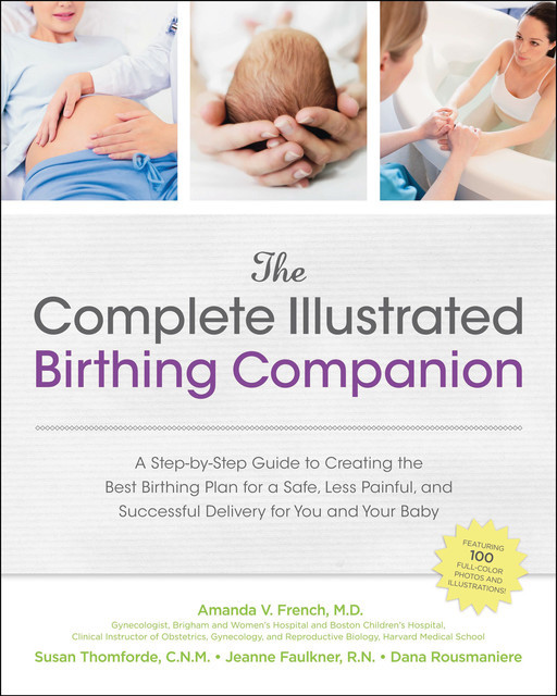 The Complete Illustrated Birthing Companion, Jeanne Faulkner, Amanda French, Dana Rousmaniere, Susan Thomforde