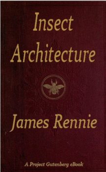 Insect Architecture, James Rennie