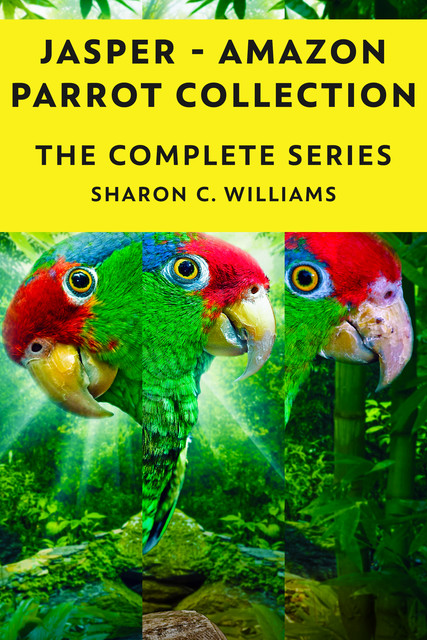 Jasper – Amazon Parrot Collection, Sharon Williams