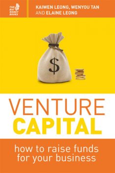 Venture Capital. How to raise funds for your business, Kaiwen Leong, Elaine Leong, Wenyou Tan