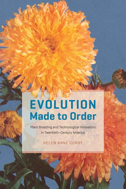 Evolution Made to Order, Helen Anne