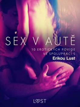 Sex v autě: 10 erotických povídek ve spolupráci s Erikou Lust, Sarah Skov, Marianne Sophia Wise, Reiner Larsen Wiese, Andrea Hansen, Olrik, Linda G.