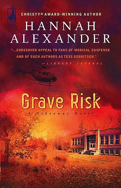 Grave Risk, Hannah Alexander