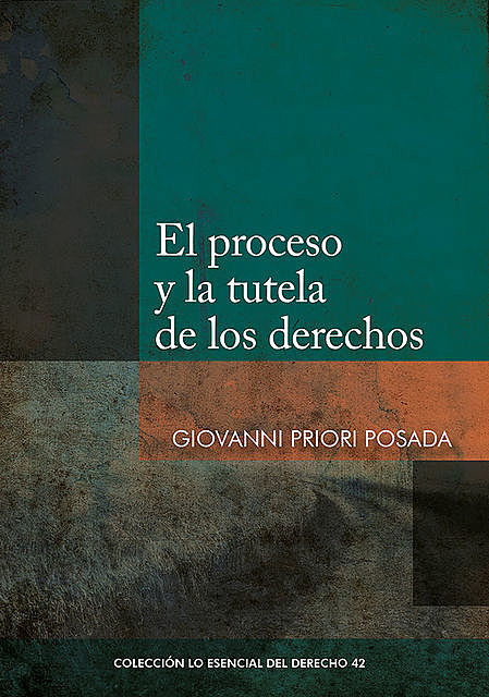 El proceso y la tutela de los derechos, Giovanni Priori