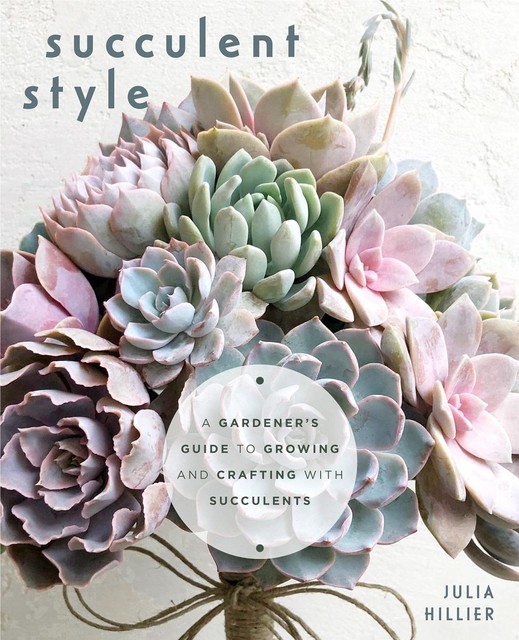 Succulent Style, Julia Hillier