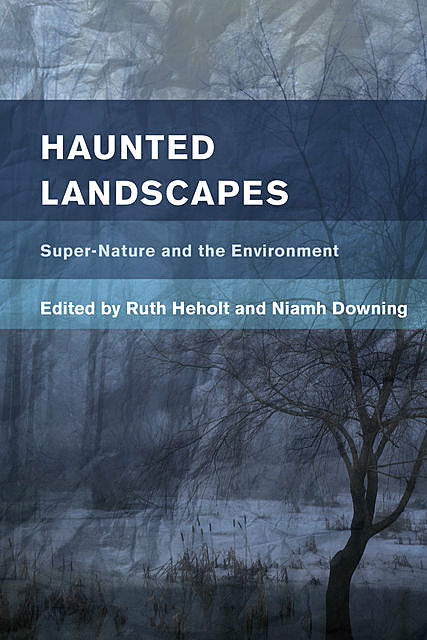 Haunted Landscapes, Ruth Heholt, Niamh Downing