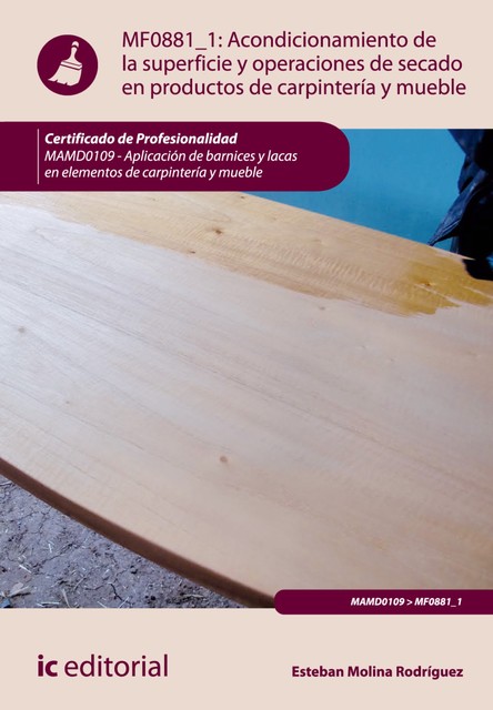 Acondicionamiento de la superficie y operaciones de secado en productos de carpintería y mueble. MAMD0109, Esteban Molina Rodríguez