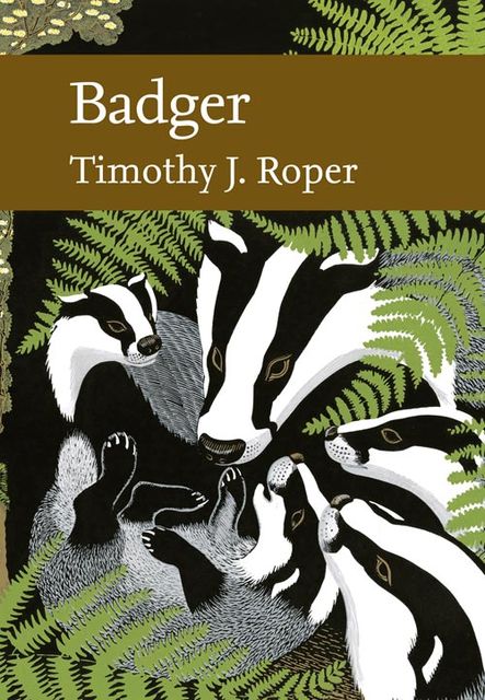 Badger (Collins New Naturalist Library, Book 114), Tim Roper