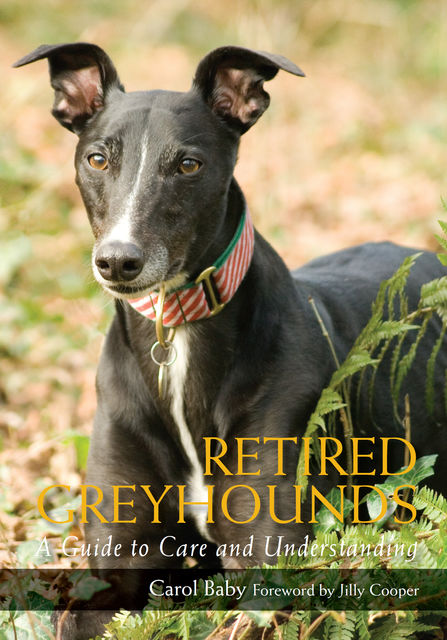 Retired Greyhounds, Carol Baby, Jilly Cooper