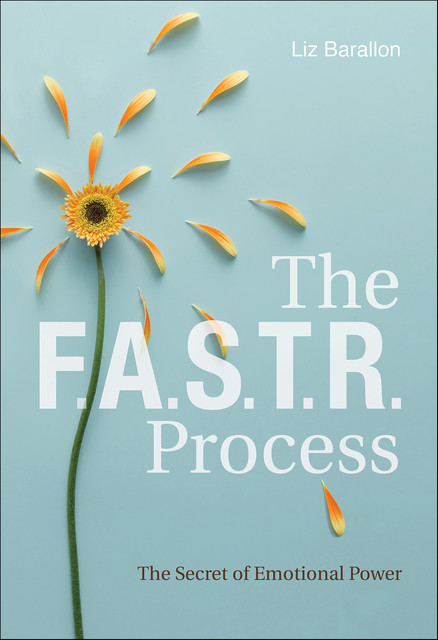 The F.A.S.T.R. Process, Liz Barallon