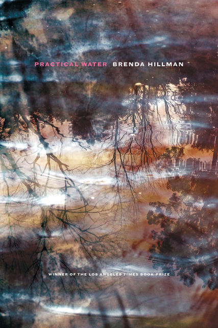 Practical Water, Brenda Hillman