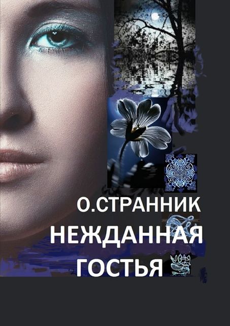 Нежданная гостья, Один Странник