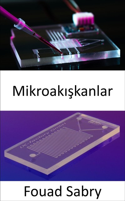 Mikroakışkanlar, Fouad Sabry