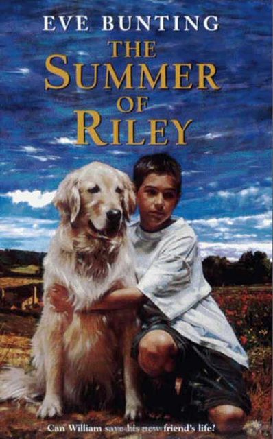 The Summer of Riley, Eve Bunting