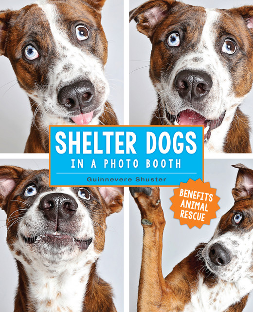 Shelter Dogs in a Photo Booth, Guinnevere Shuster
