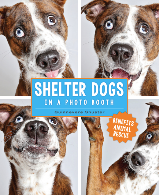 Shelter Dogs in a Photo Booth, Guinnevere Shuster