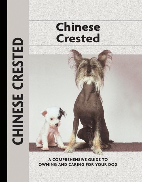 Chinese Crested, Juliette Cunliffe